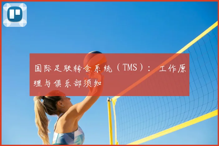 国际足联转会系统（TMS）：工作原理与俱乐部须知