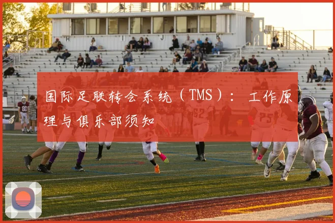 国际足联转会系统（TMS）：工作原理与俱乐部须知